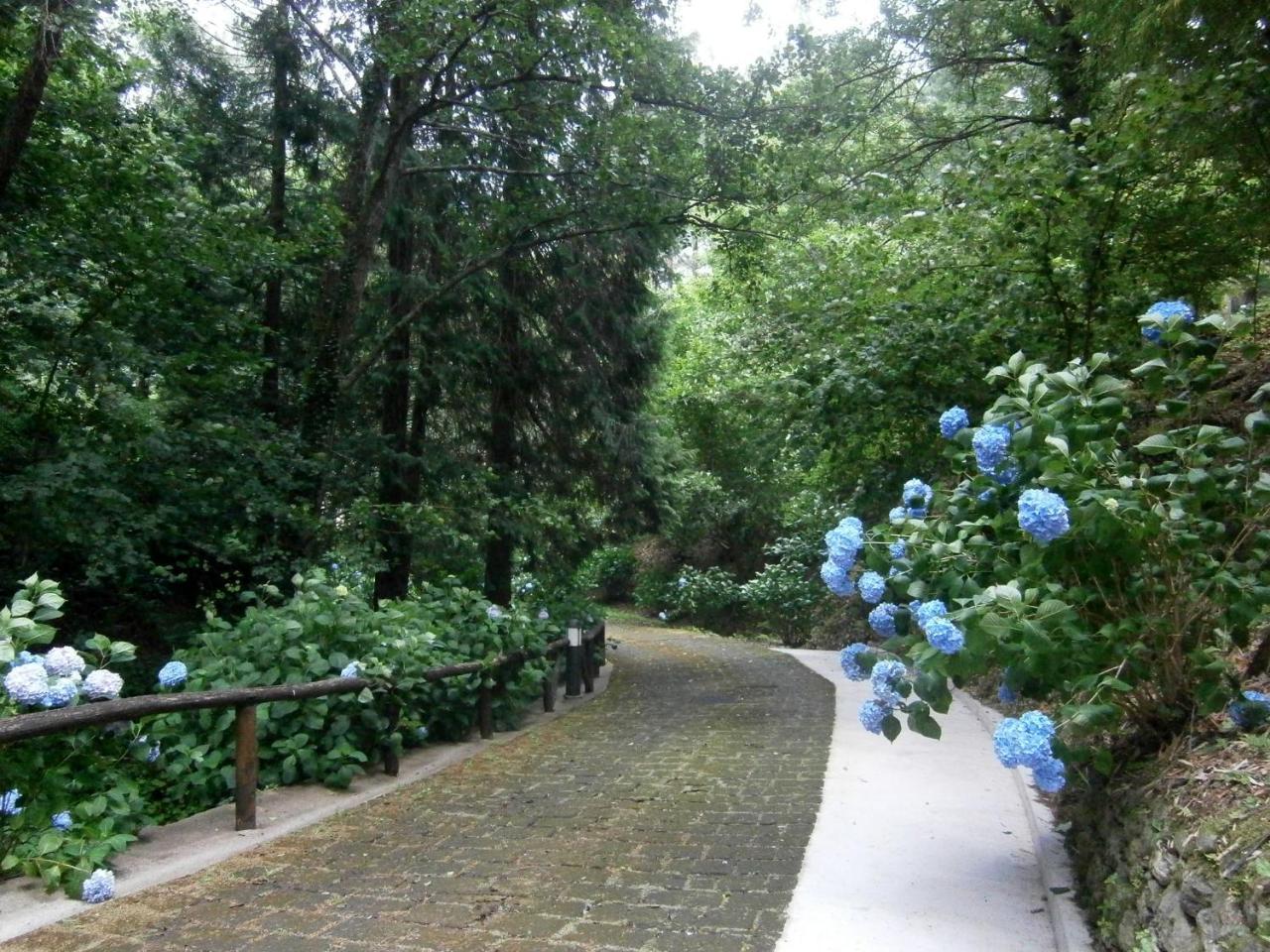 Il Bosco Di Campo Marzano Studios Borzonasca Exterior photo
